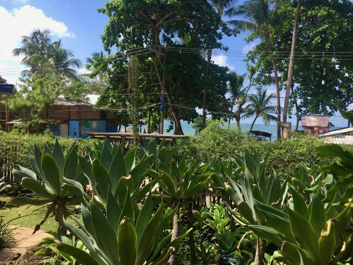 Concha Tropical Flat Itacaré Exterior foto